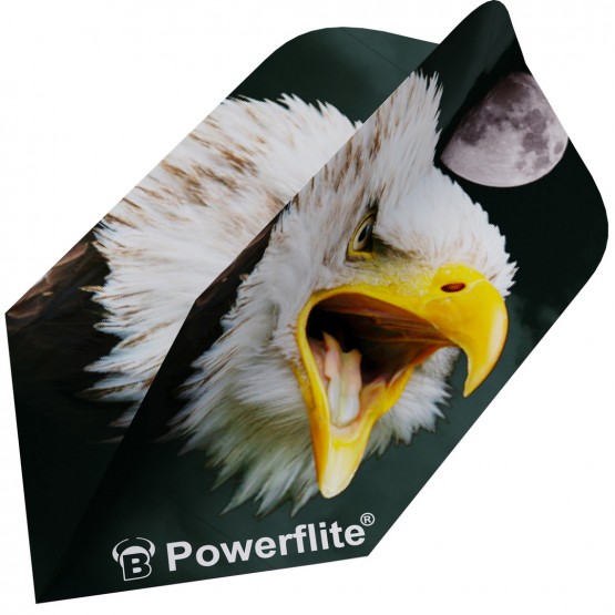 BULL'S Powerflite 50752