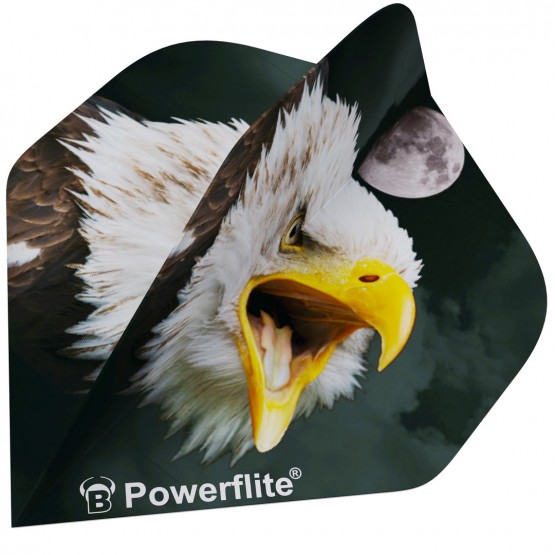 BULL'S Powerflite 50733